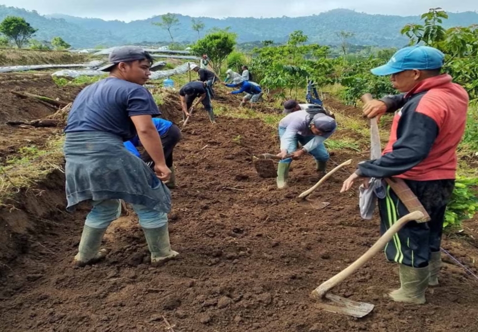 Pemdes Bandung Baru Realisasikan Anggaran Ketahanan Pangan Tahun Anggaran 2024